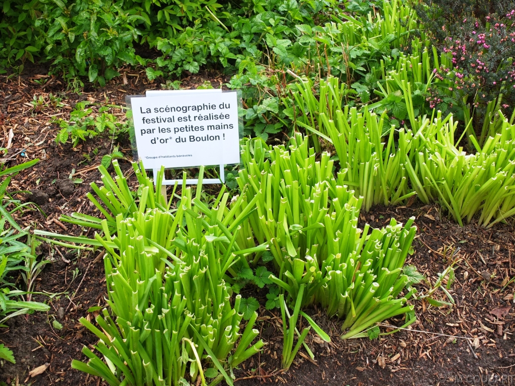 Diapositive suivante